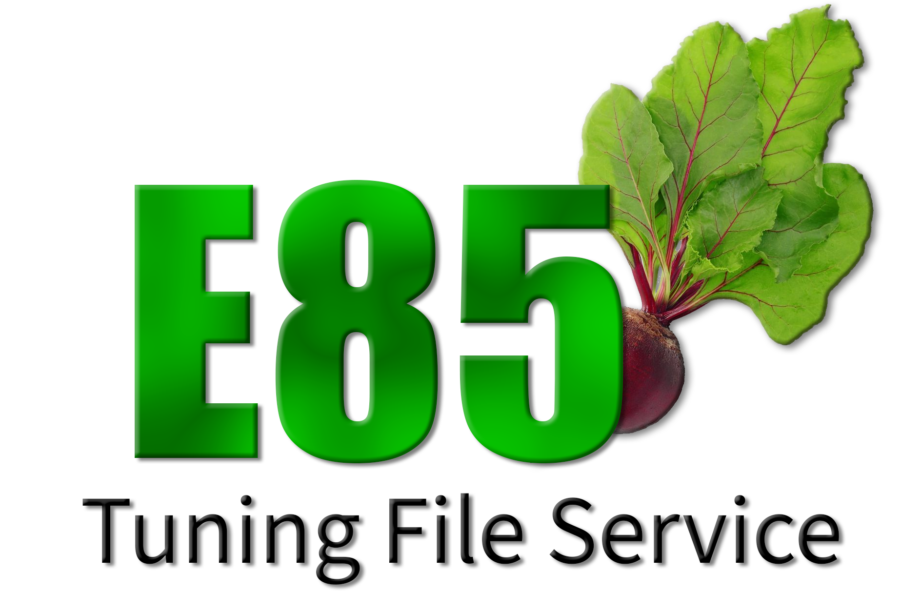 E85 Tuning File Service